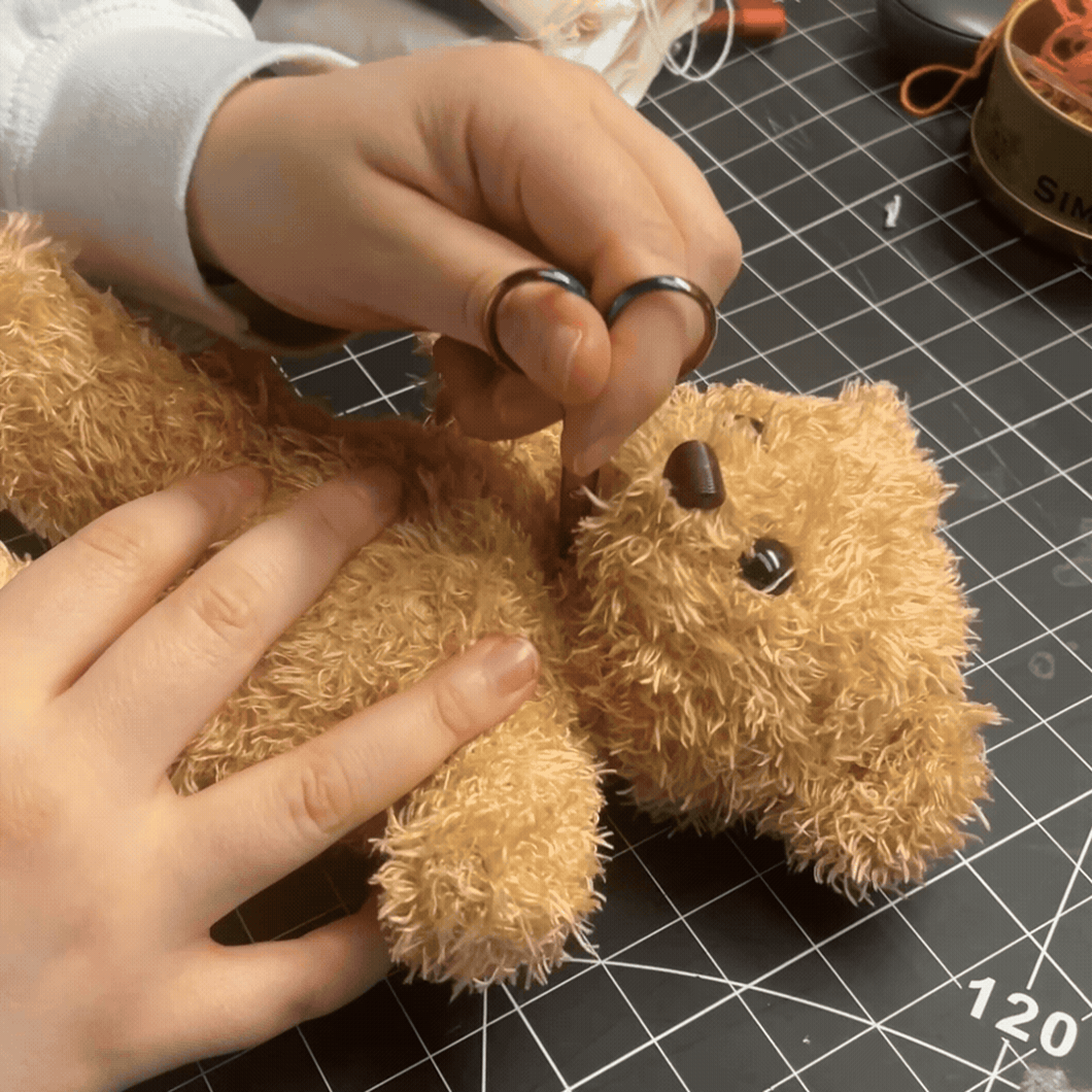 Cutting the teddy bear open